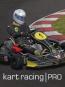 Kart Racing Pro