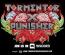 Tormentor X Punisher