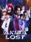 Akiba Lost
